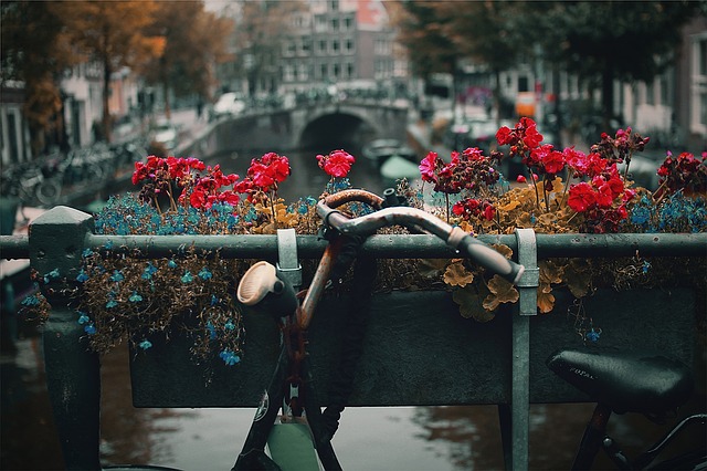 fietsenwinkel damesfiets